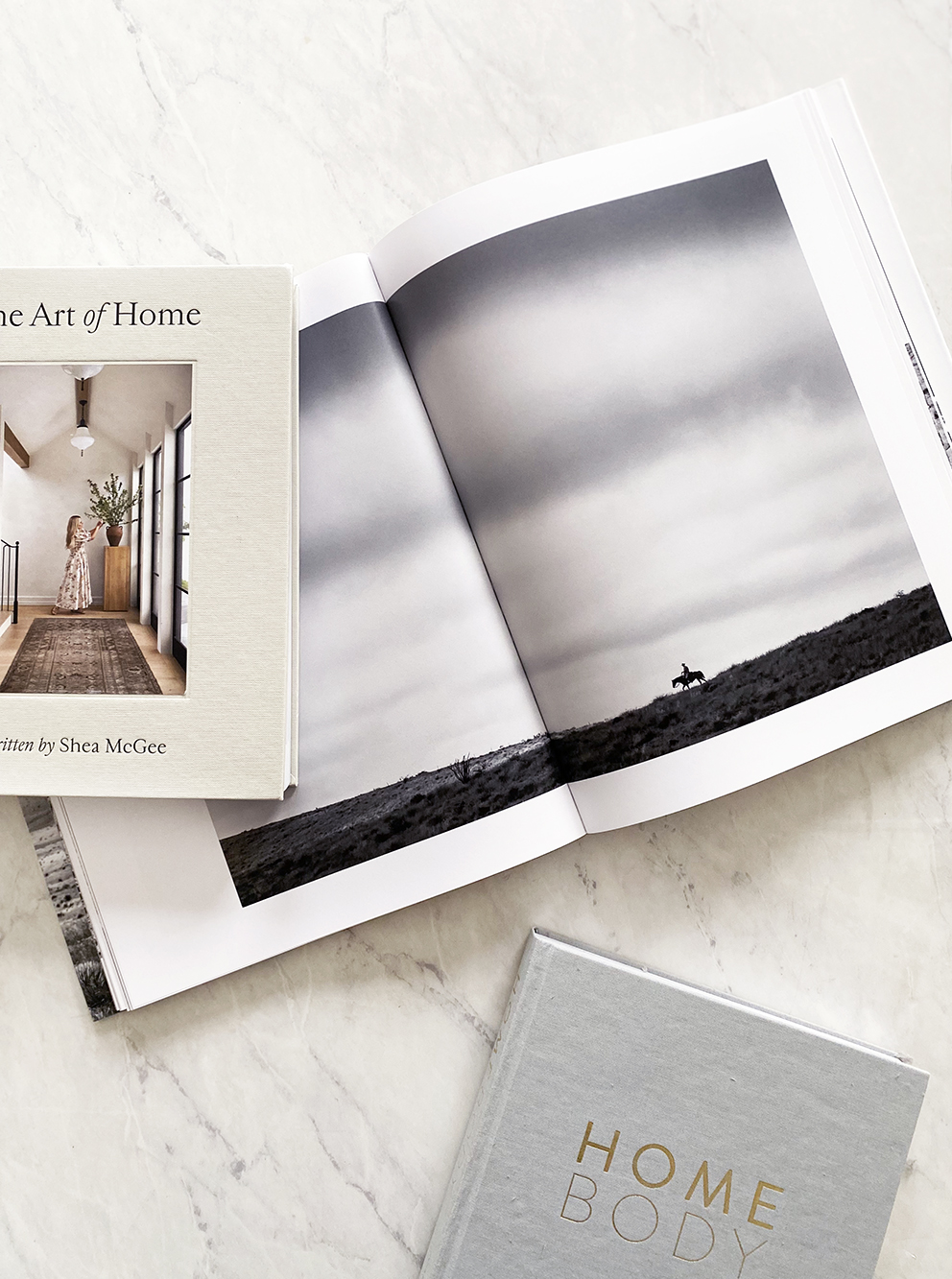 Aesthetic Coffee Table Books for the Home Kara Layne
